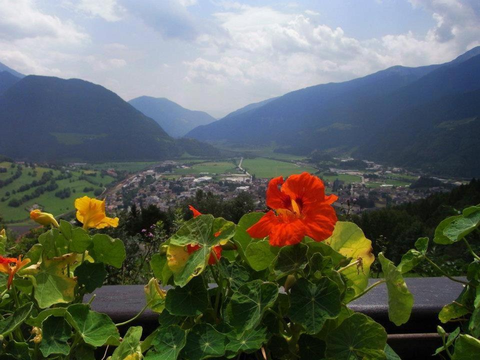Alpenblick Bed & Breakfast Vipiteno Exterior photo